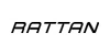 Rattan Ebike