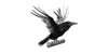 Raven Route