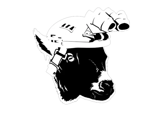 Rebels Raiders