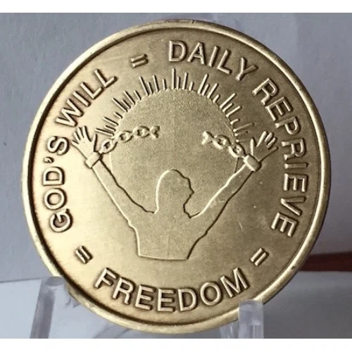 Recovery Chip Promo Codes