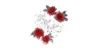 Red Rose Lashes and Cosmetics