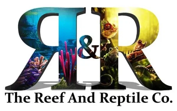 The Reef and Reptile Company