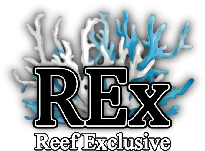 Reef Exclusive