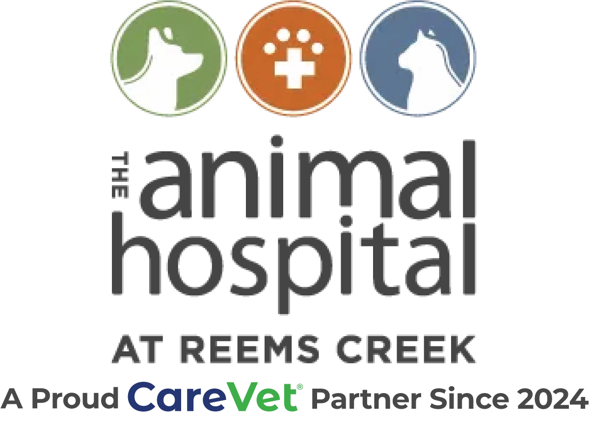 The Animal Hospital at Reems Creek