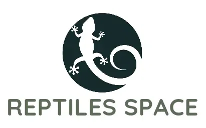 Reptiles Space