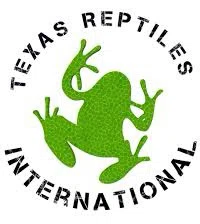 Reptiles Wholesale