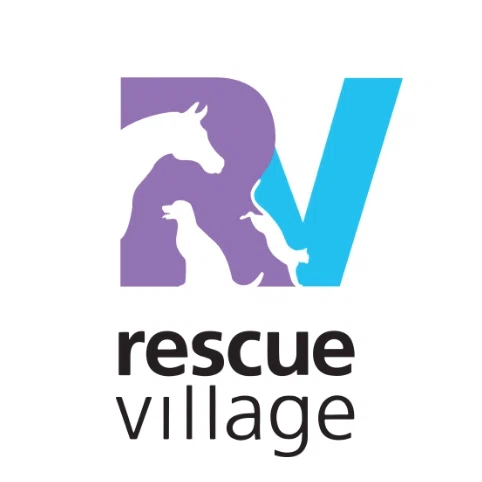 Rescue Village