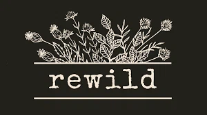 Rewildessentials.com