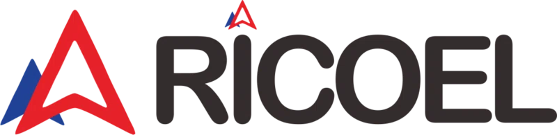 Ricoel Store