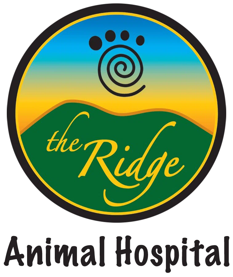 Ridge Animal Hospital