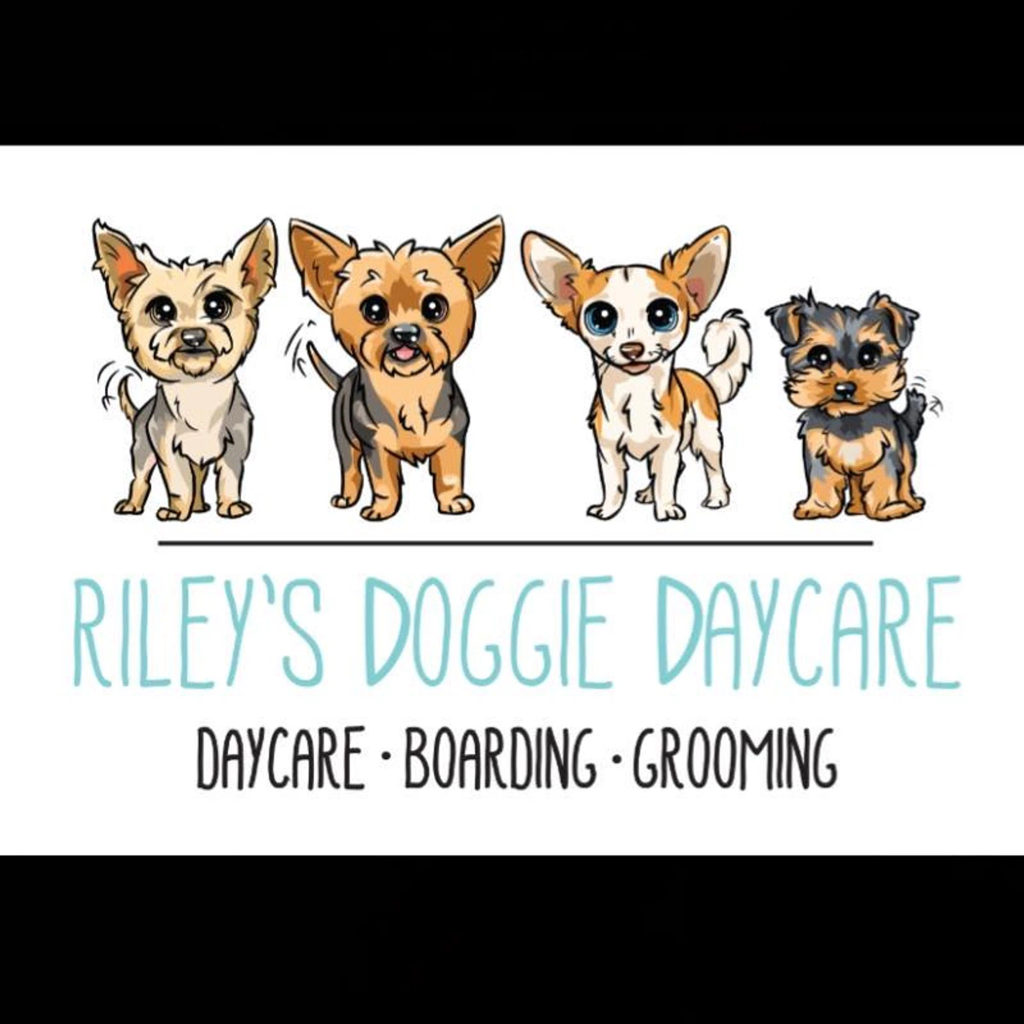 Rileys Doggie Daycare