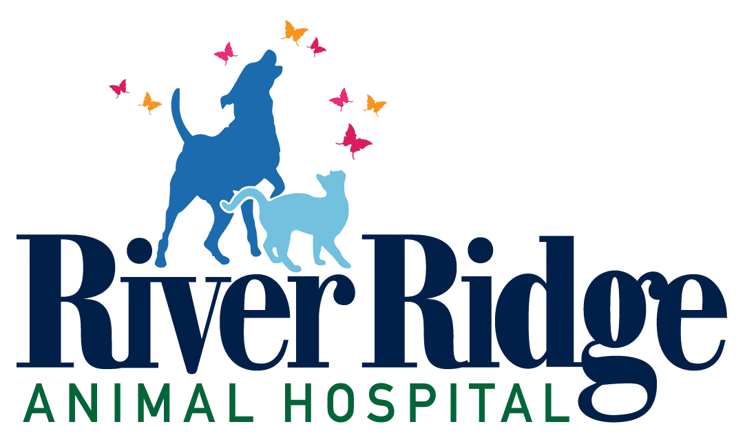 River Ridge Animal Hospital