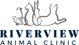 Riverview Animal Clinic
