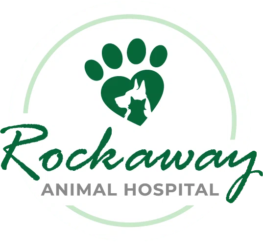 Rockaway Animal Hospital