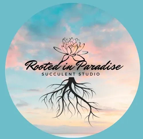 Rooted in Paradise Succulent Studio