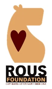ROUS Foundation