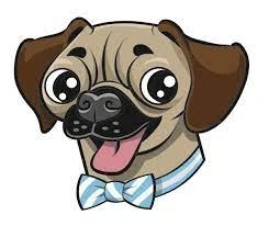 Rub a Dub Dub Dog Grooming