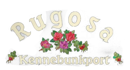 Rugosa Lobster Tours