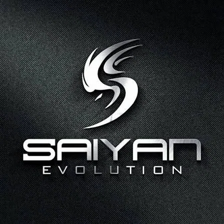 Saiyan Evolution