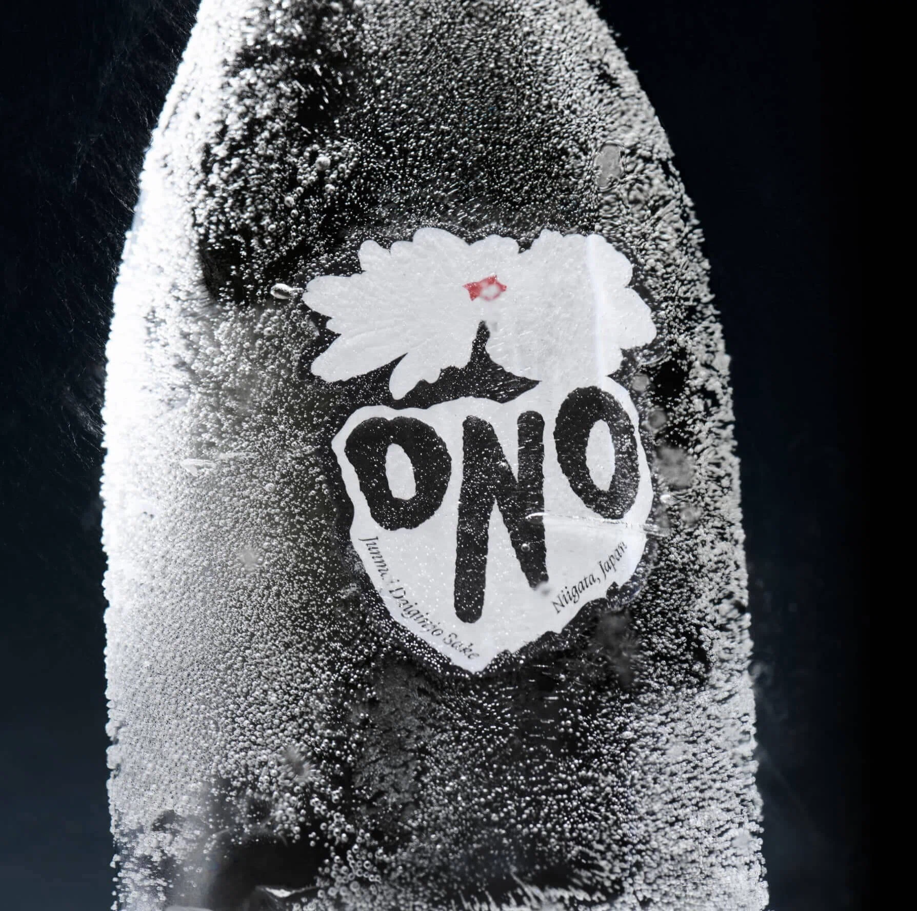 Sake Ono