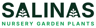Salinas Nursery