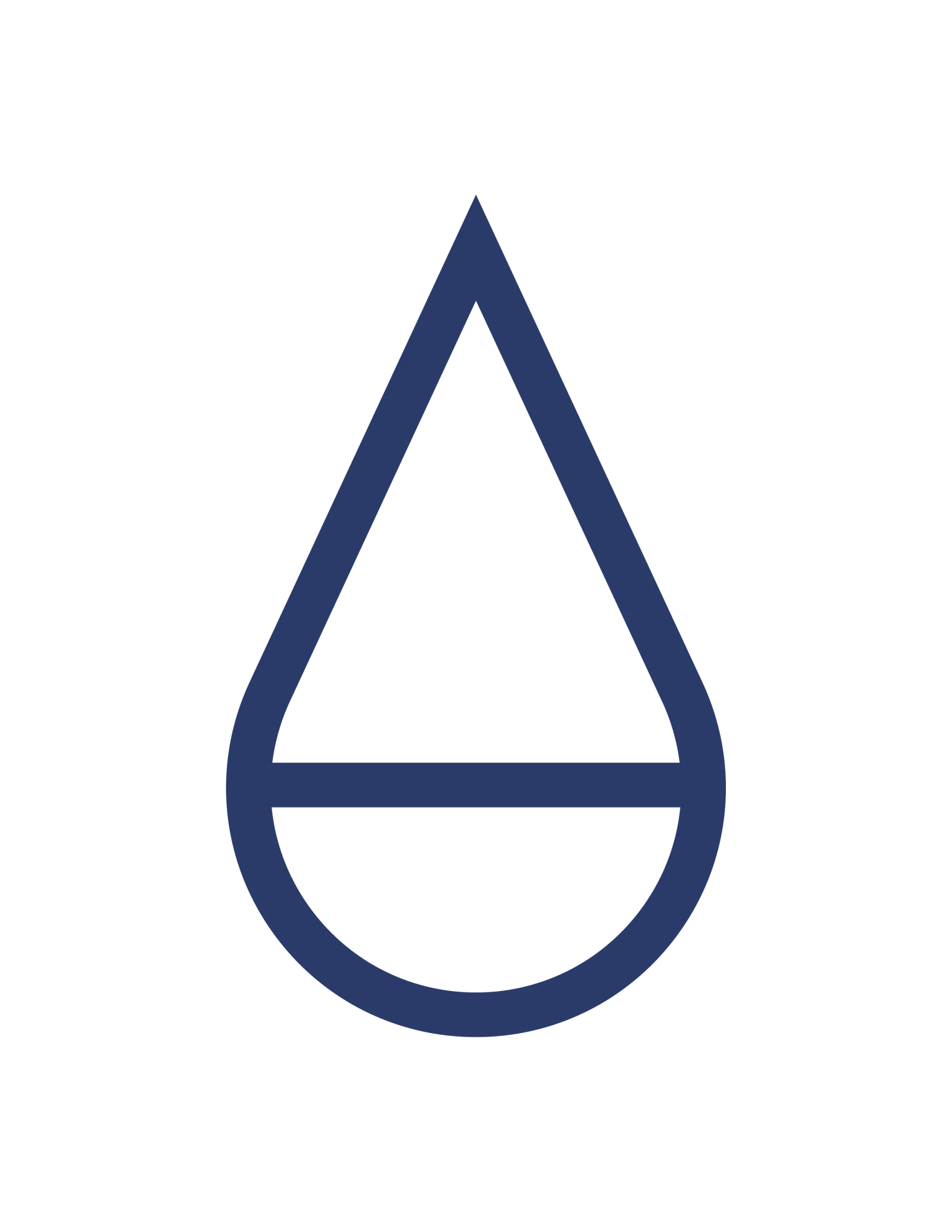 Salt of the Earth Drink