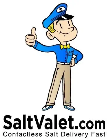 SaltValet