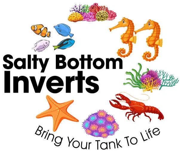Saltwater Livestocks