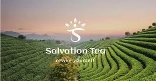 Salvation Teas Logo for Discount Codes