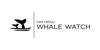 San Diego Whale Watch
