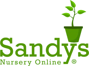 Sandys Nursery