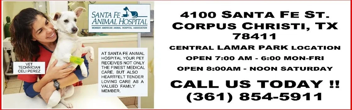 Santa Fe Animal Hospital