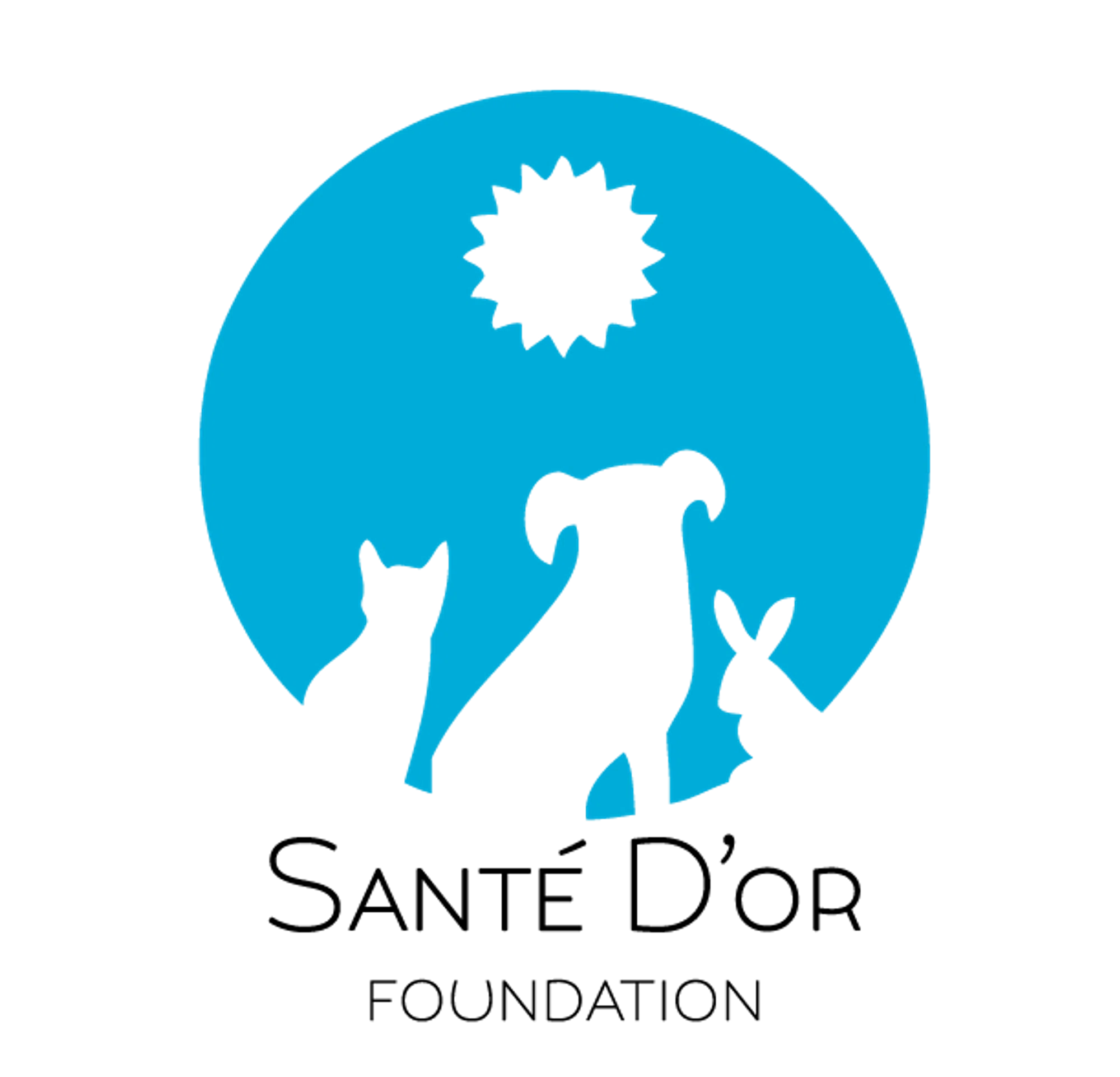 Santé DOr