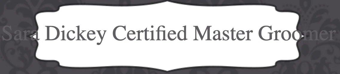 Sara Dickey Certified Master Groomer