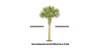 Savannah Luxury Rentals