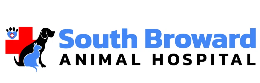 South Broward Animal Hospital