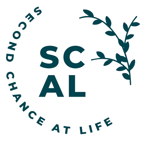 SCAL Studio