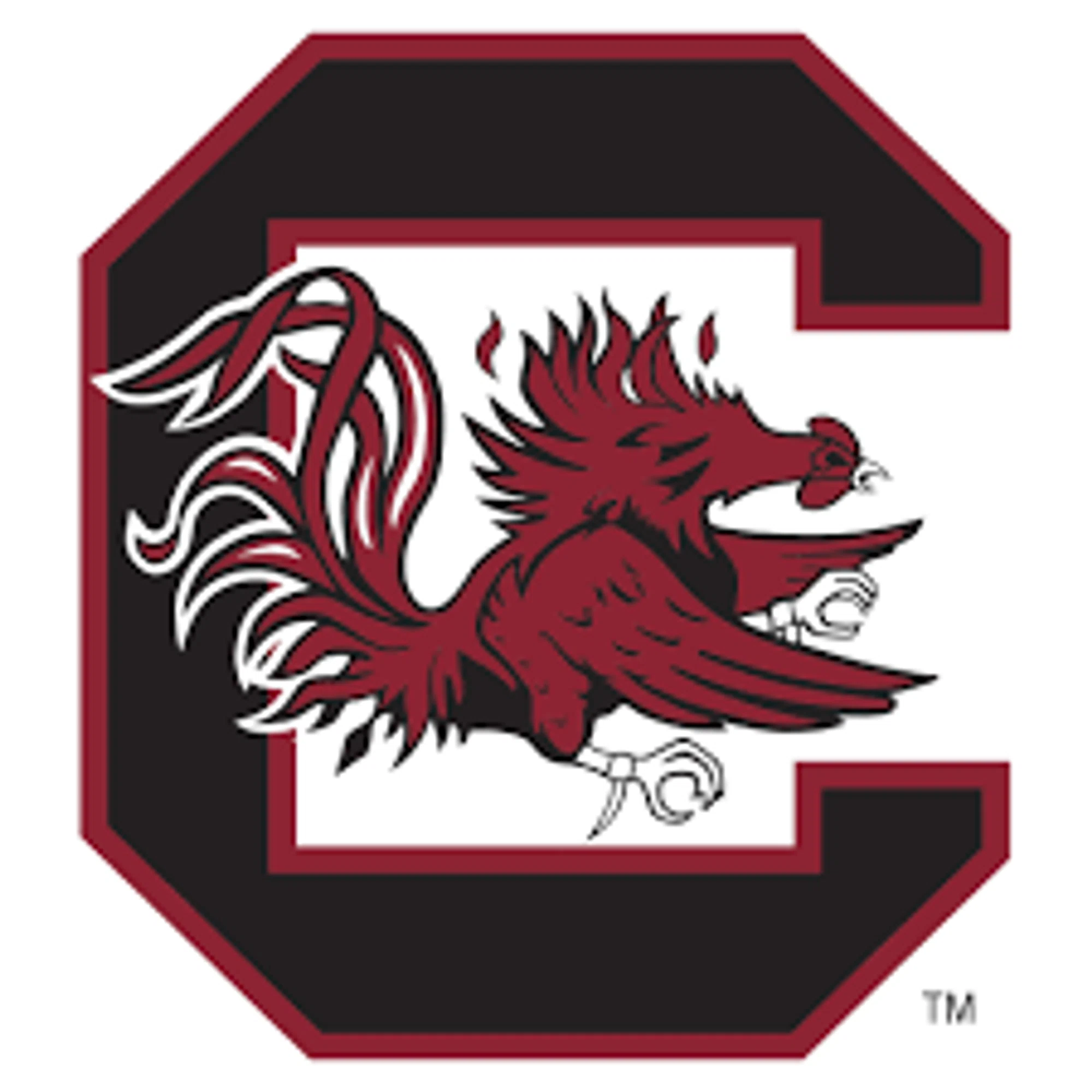 South Carolina Gamecocks