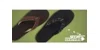 Scott Hawaii Coupons Scott Hawaii Coupons and Promo Code