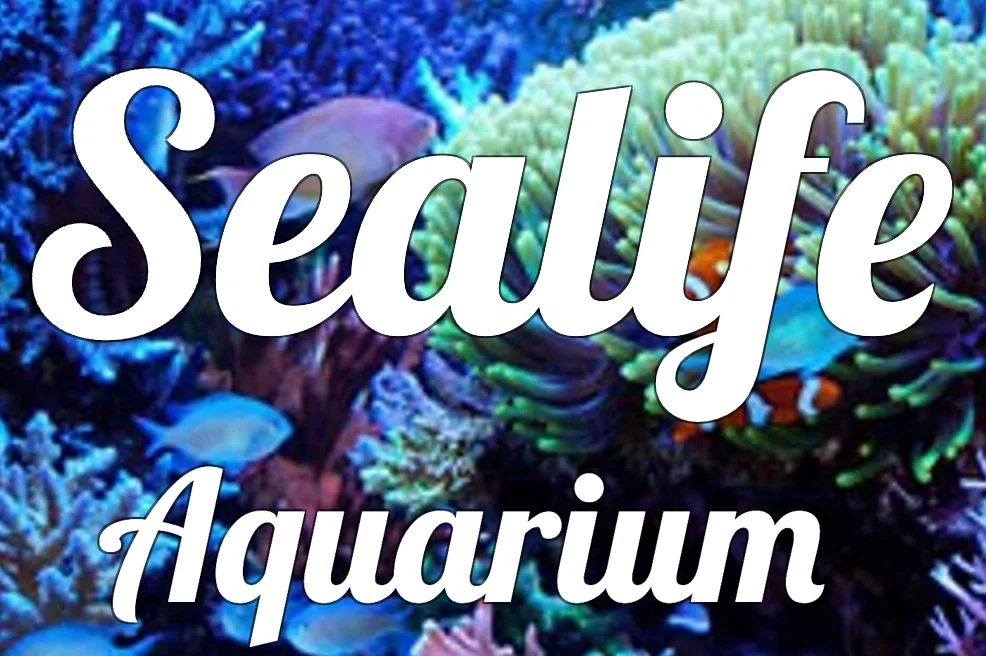 Sealife Aquarium