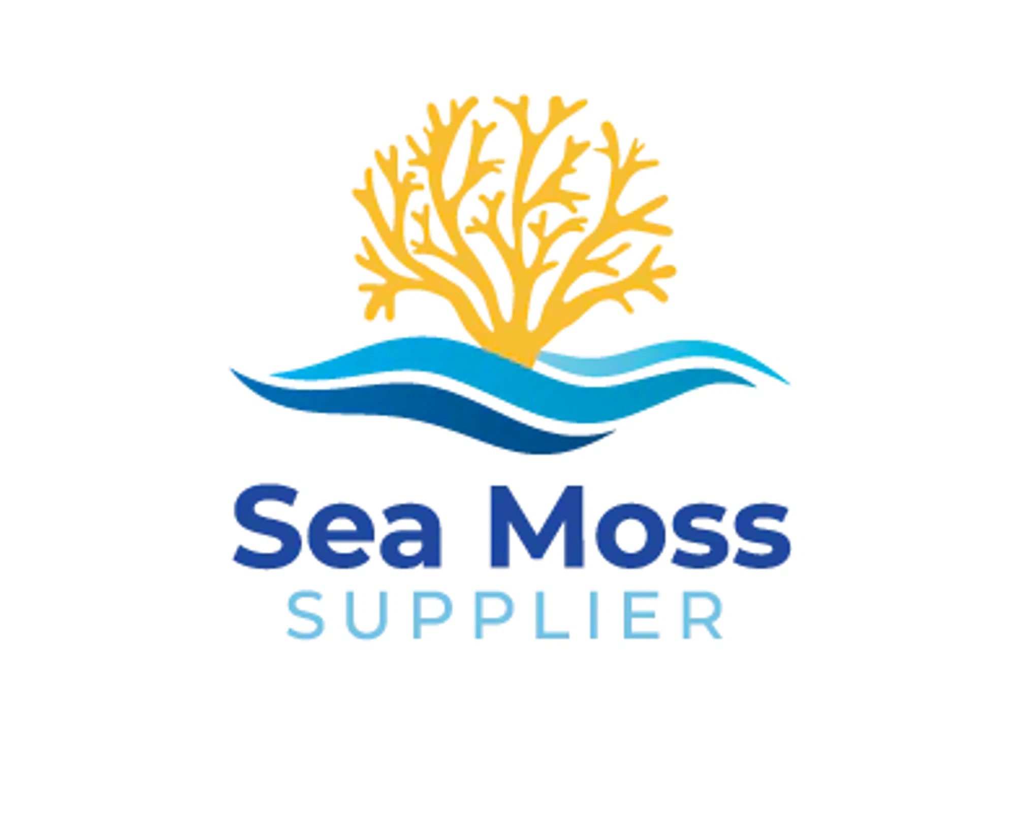 Community Sea Moss