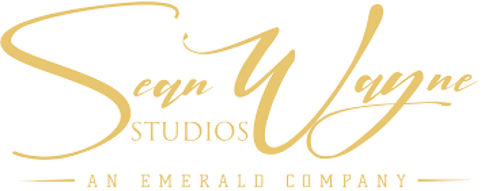 Sean Wayne Studios