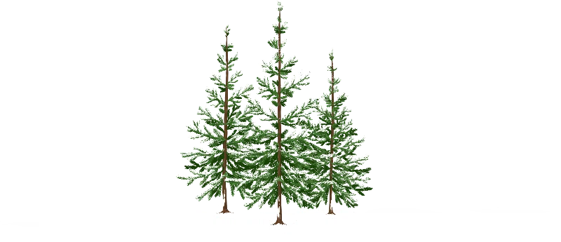 Seasons Reflection Co.