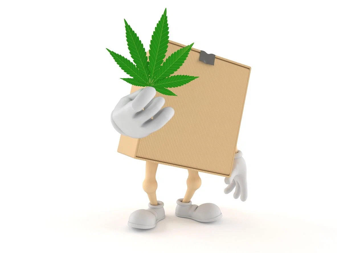 Seaweed Delivery