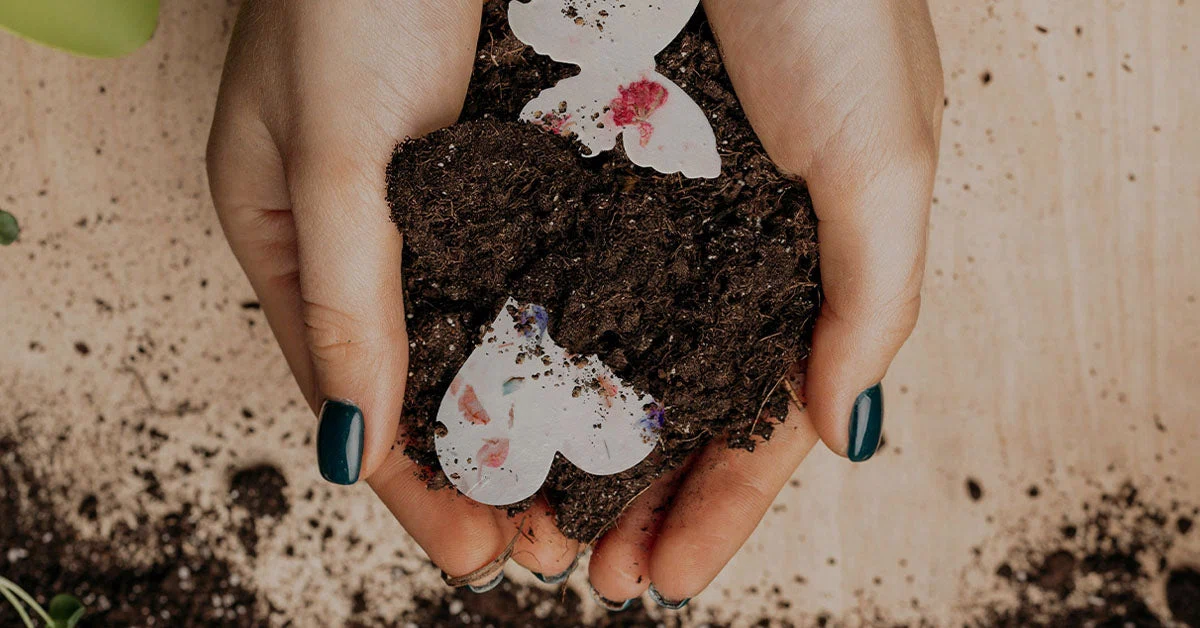 Seed Bloom Gifts