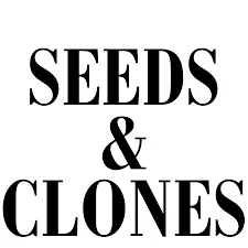 Seeds & Clones