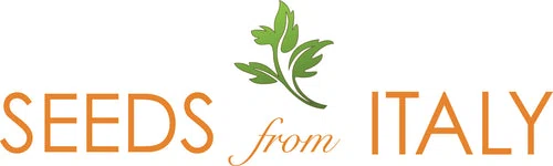 Seeds from Italy