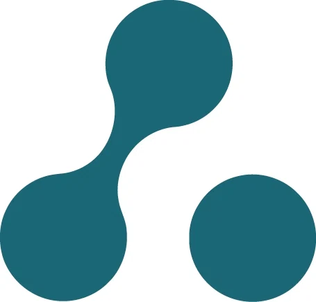 Seeing the Big Picture