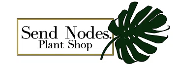 Send Nodes Plant Shop Logo for Discount Codes
