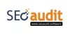 SEO Audit Software